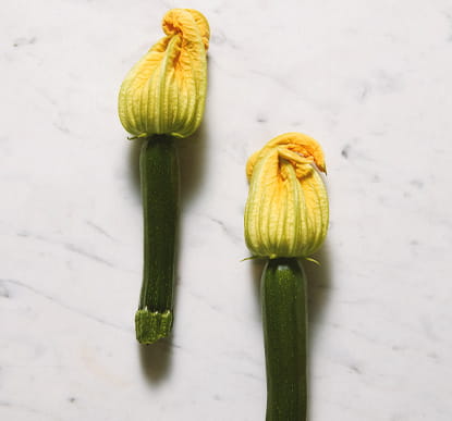 素材・野菜